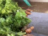 comment preparer des carottes