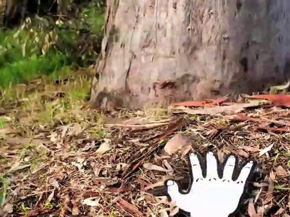 SMART_The Love of learning