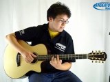 Taylor 8 String Baritone Acoustic Guitar (GT8) Demo