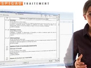 SPIGAO - La gestion intégrale des appels d'offre du BTP
