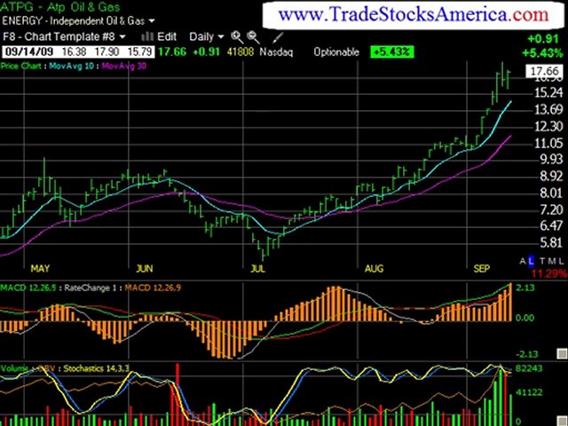 Short Term Investing