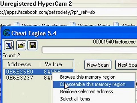 How To Hack Money On Pet Society