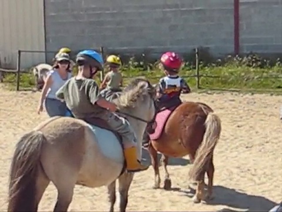 assurance poney bravo enzo