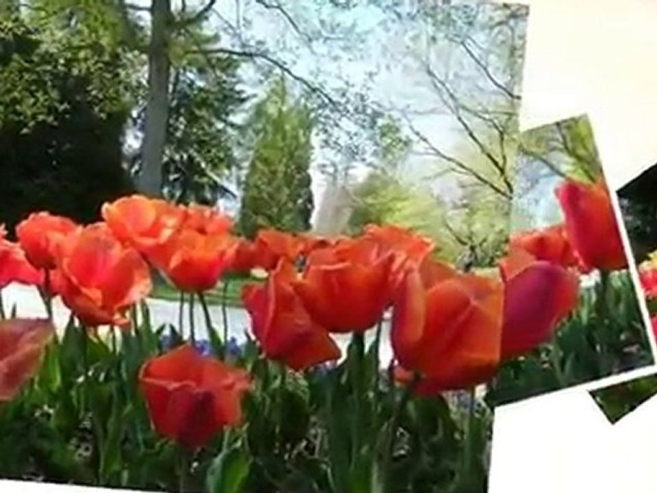 Fête Des Tulipes 2010