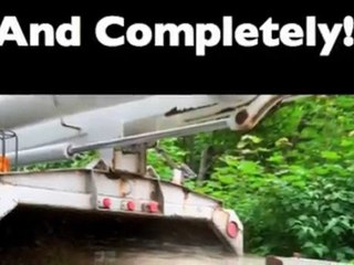 Tree Trimming Hawaii is Your Best Tree Trimming Guide in Ha