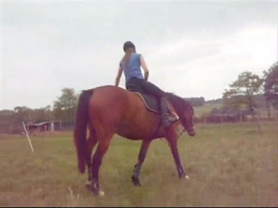 Fevrier 2010