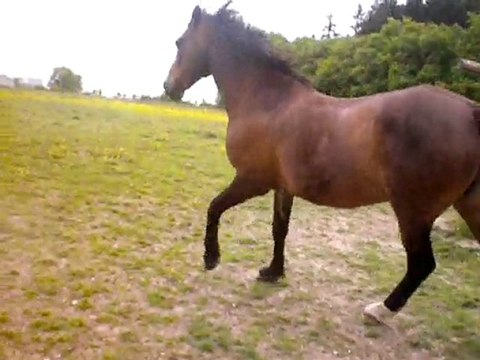 Waly montage du w-e prolongé