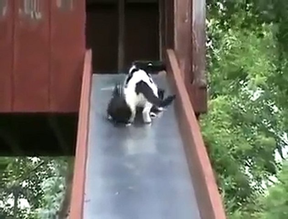 Çocuğun mu var derdin var arkadaş :))