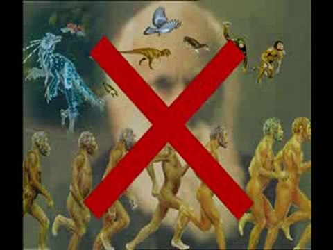 Yaşayan fosiller: Deniz iğnesi