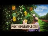 Advertising Agencies Nashville, Pineapple Advertising