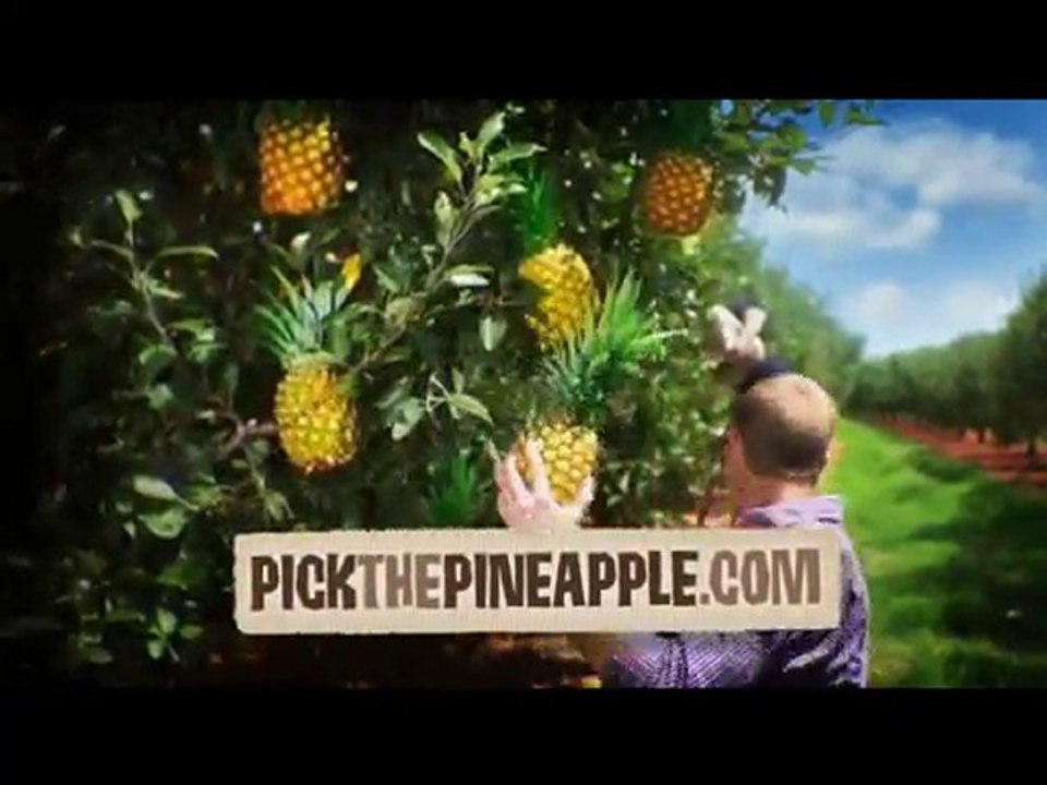 Advertising Agencies Nashville, Pineapple Advertising