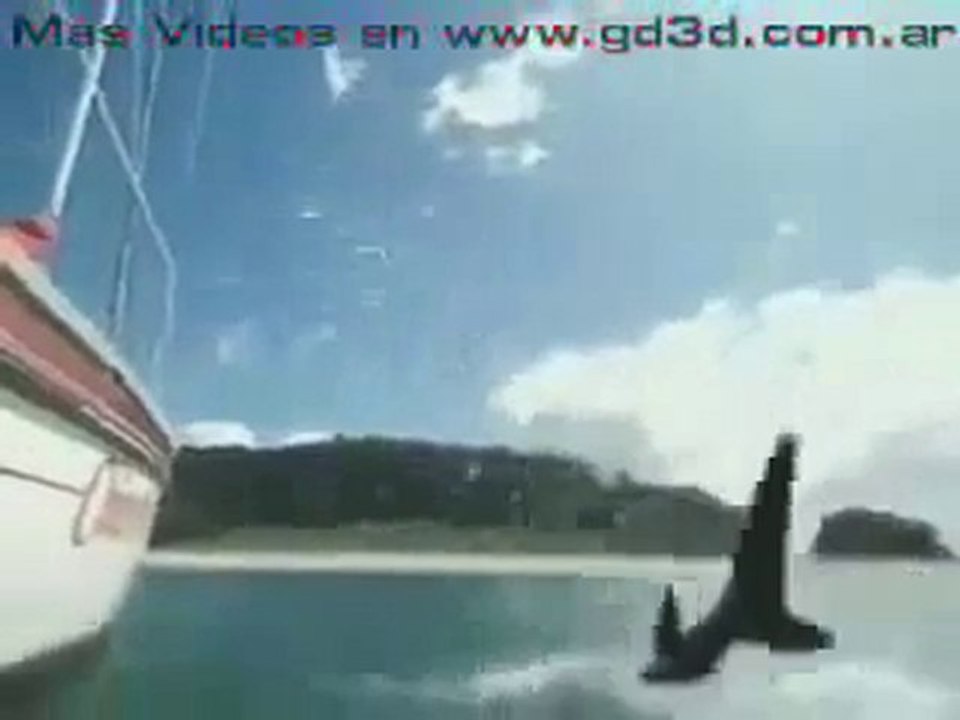 Dünyanın en kısa tatili xD sadece 2 saniye izle :))