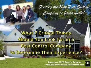 Finding The Best Pest Control Company In The Jacksonville A