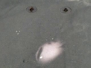 version originale non sous-titrée