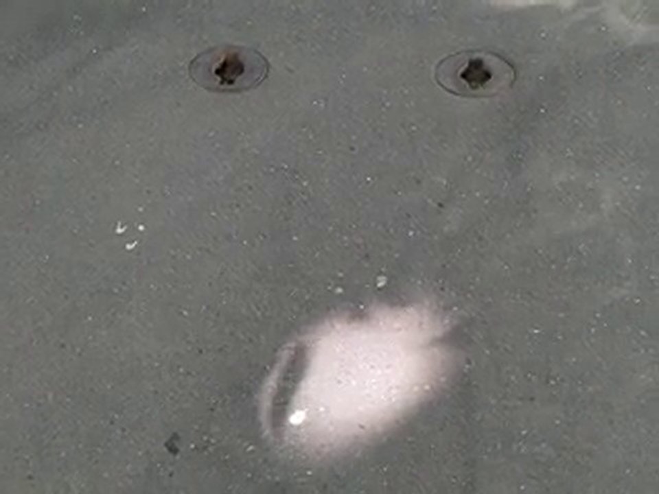 version originale non sous-titrée