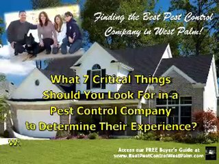 Finding The Best Pest Control Company In The West Palm Area