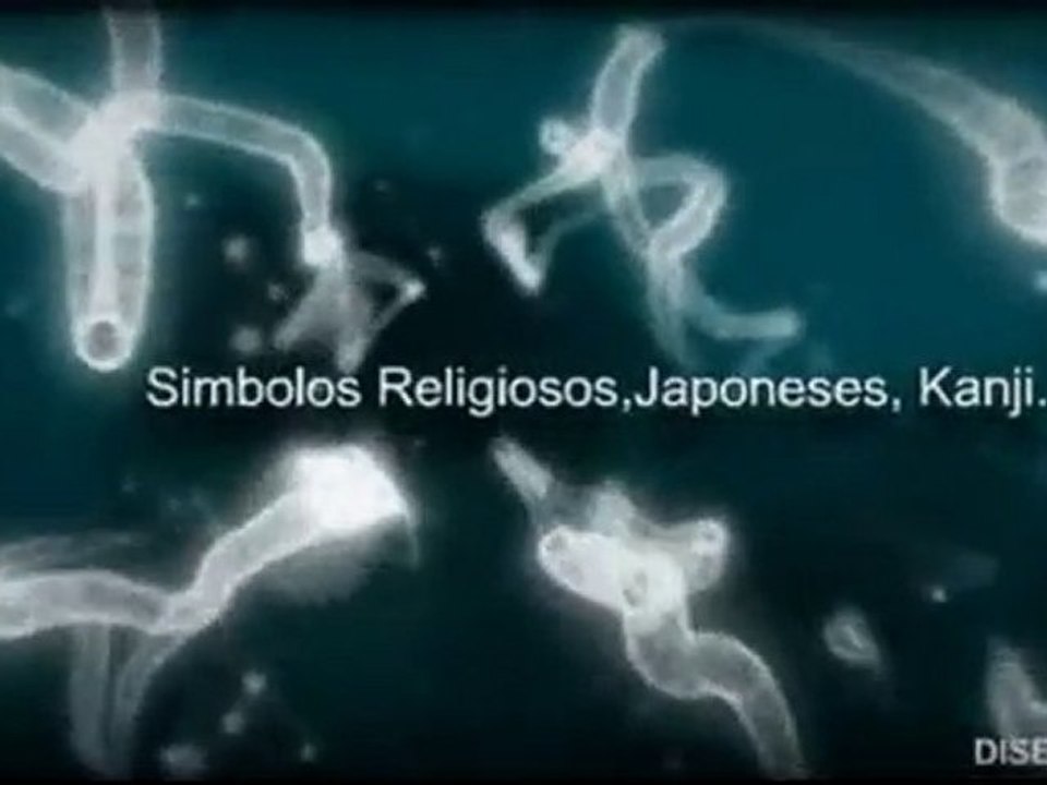 TATUAJES DRAGONES TRIBALES MARIPOSAS HADAS JAPONESES Y ...