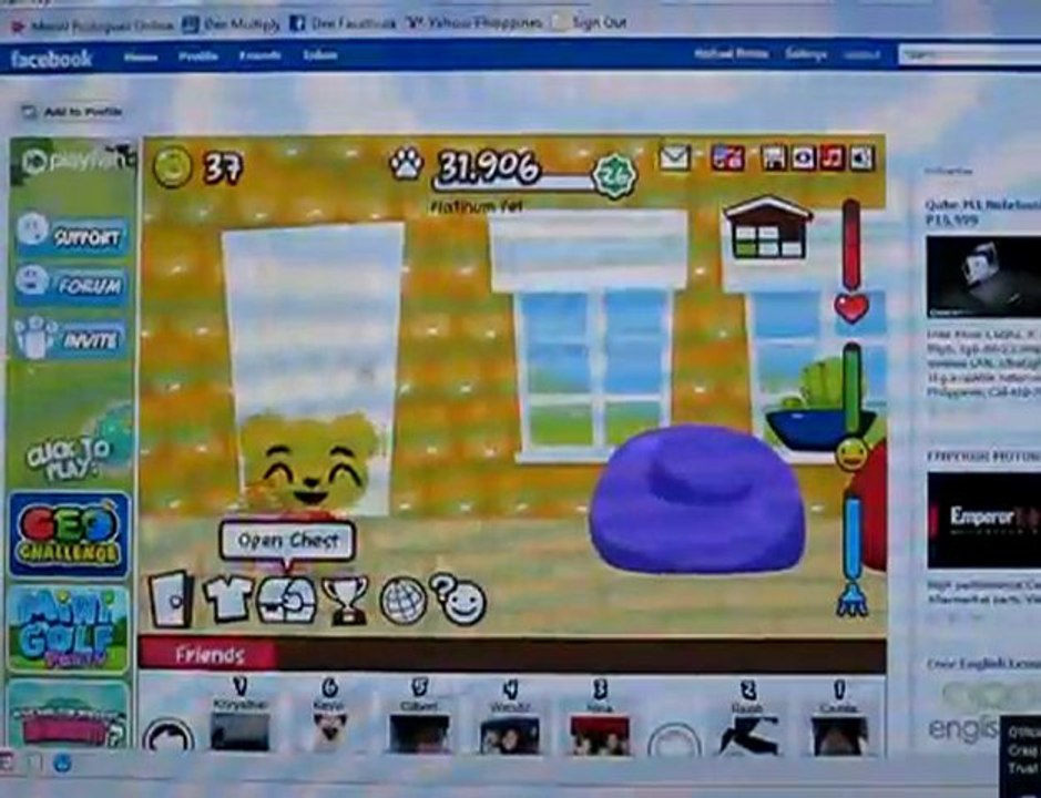 Pet Society - Extra 499 Coins