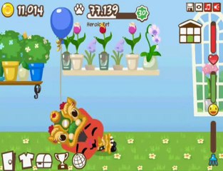 Pet Society: Elvis wakes up on Poo!