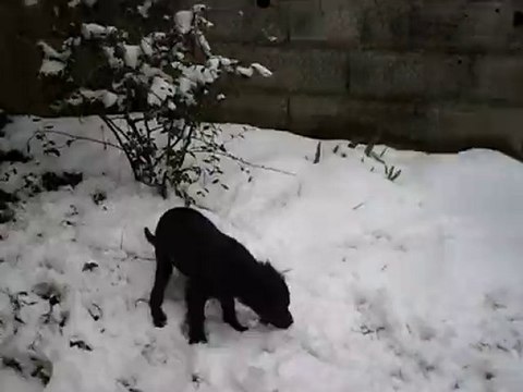 kouné en classe neige