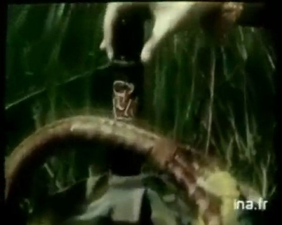 Publicités pour les déodorants FUN 1984 à 1988 !