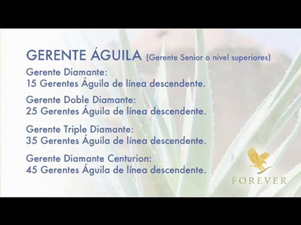 gerente aguila