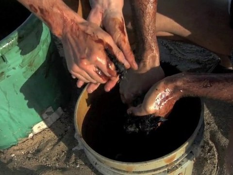 Louisiana's Oil Covered Marshes, Louisiana Oil Spill 2010