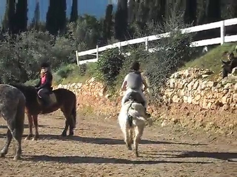 Chute de Cheval de Julie sur Mohicane