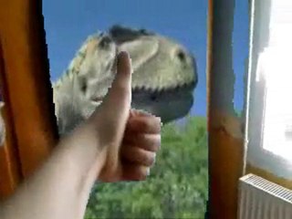 carcharodontosaurus dans ma chambre