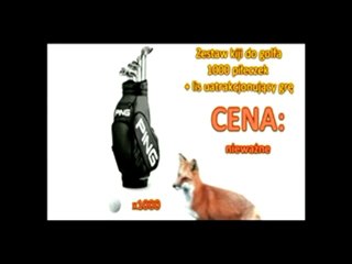 Kupuj w Chrabo (Jeśli masz pieniążki) Lis