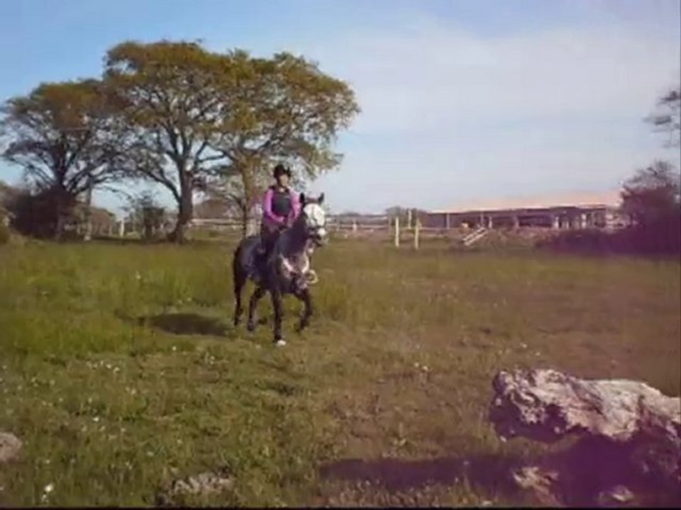 I will never regret ♥ ★