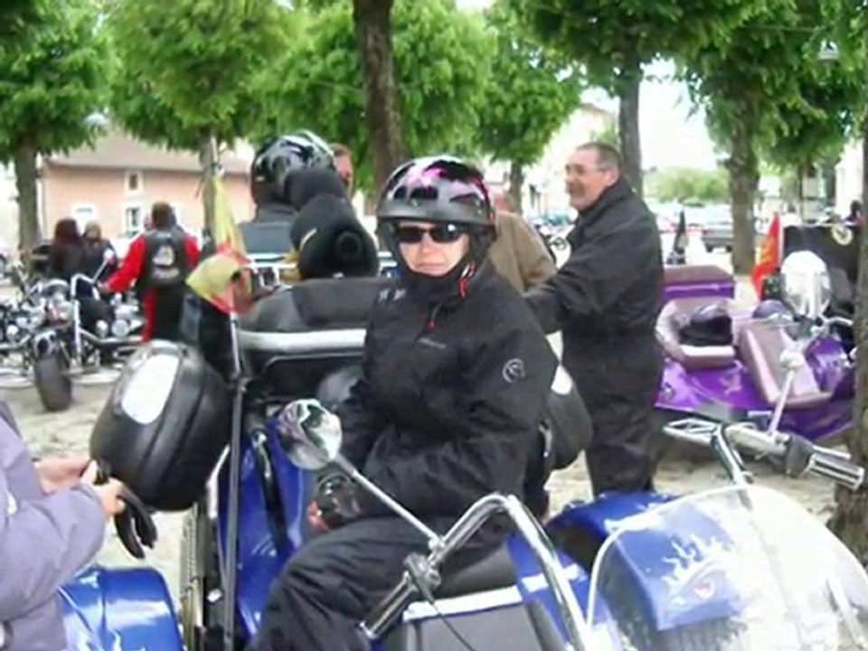 TRANSHUMANCE DES BLAIREAUX DANS L’AIN