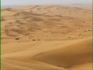 Prospéction Pétrole, Le Talent d'Or exclusif  en ce Monde