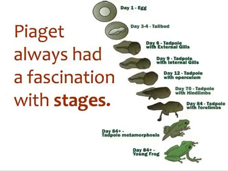 Module 3- Introduction to Piaget