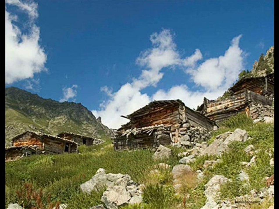 Çamlığın Başında Tüter Bir Tütün - Cengiz Özkan