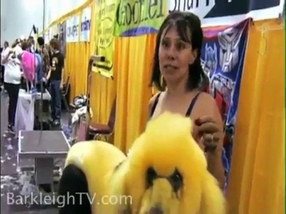 San diego dog groomers Groom Your Pet  Always Keeping Them F