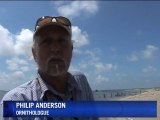 Marée noire: début du nettoyage des plages en Louisiane