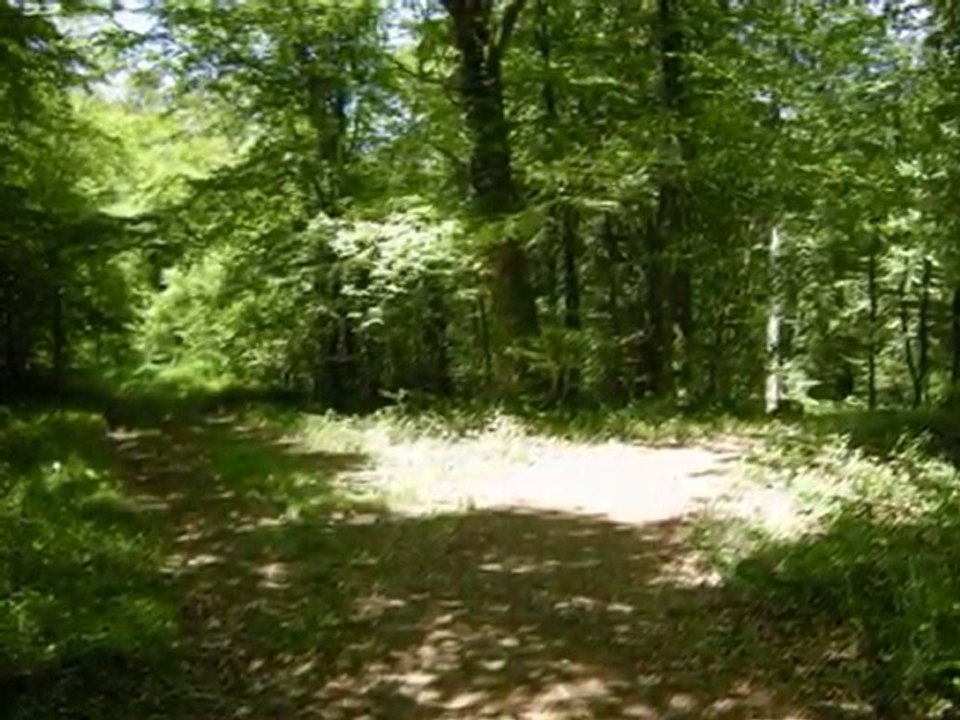 Promenade du 22 05 2010
