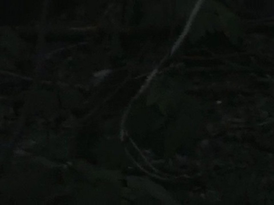 une petite gourmande