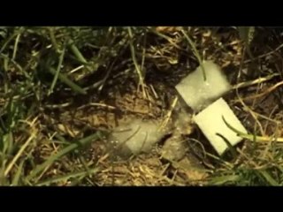 VOTKA 1967 | Dünya'nın Son 67 Saniyesi