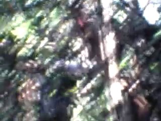 bagne des anamites 1969