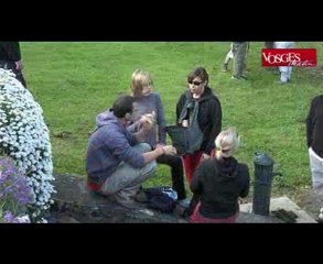 TRANSHUMANCE DANS LES VOSGES