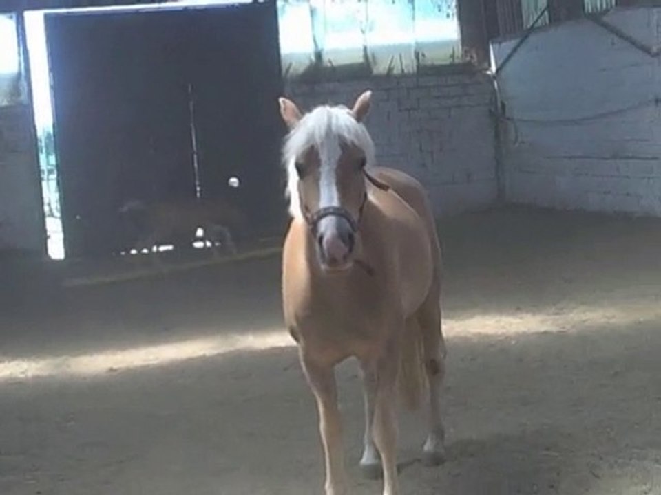 1 mois et  19 jours de vie de spirit