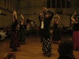 Flamenko İzmir Grubu- flamenko gösterisi