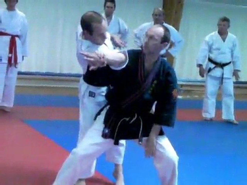stage de regroupement de la self defense
