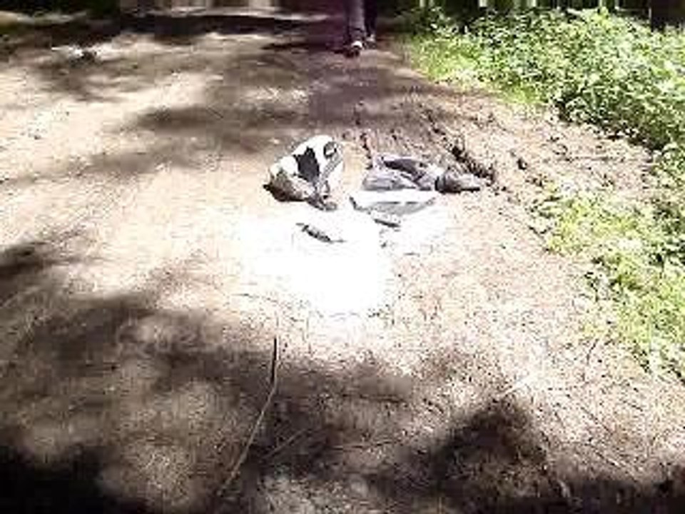 Fin d'exams 2006 ds les bois