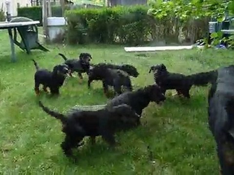 divine et ces bébés à presque 2 mois