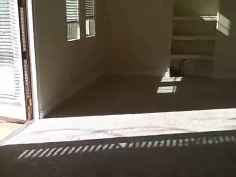 Cleaning foreclosures makes big money