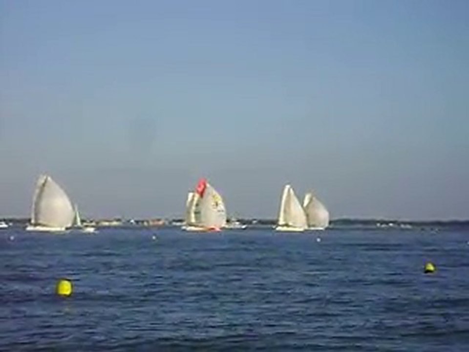 La solitaire du chocolat
