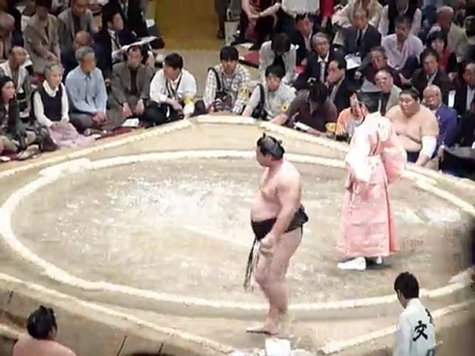 SUMO 2